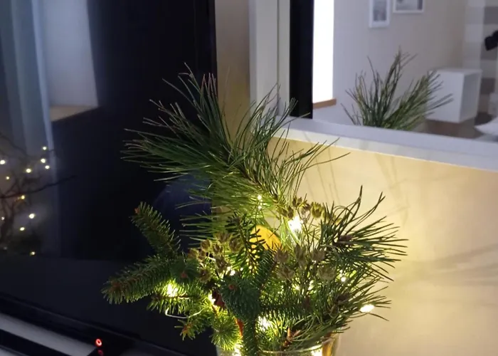 Przytulne Studio Borowkowy Zagajnik