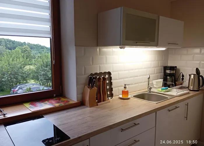 Przytulne Studio Borowkowy Zagajnik
