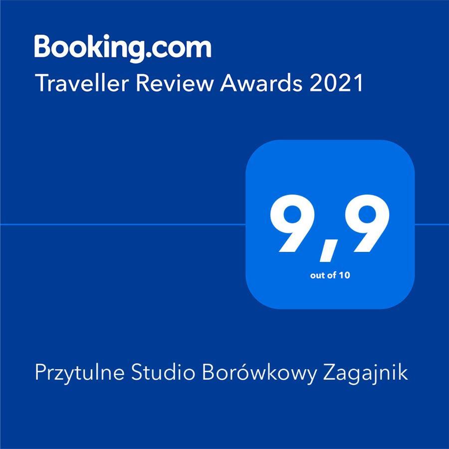 Przytulne Borowkowy Zagajnik Apartment Piechowice (Karkonosze)
