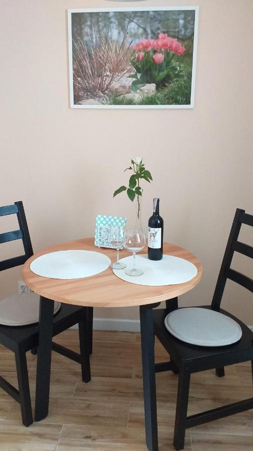 Przytulne Borowkowy Zagajnik Apartment Piechowice (Karkonosze)
