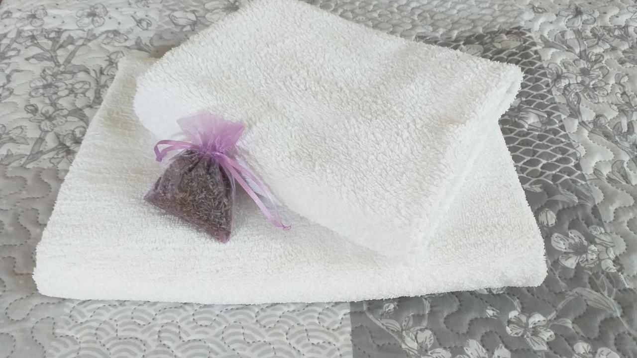 Przytulne Borowkowy Zagajnik