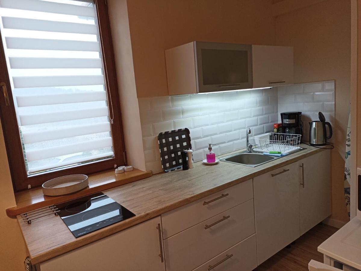 Apartment Przytulne Borowkowy Zagajnik Piechowice (Karkonosze)