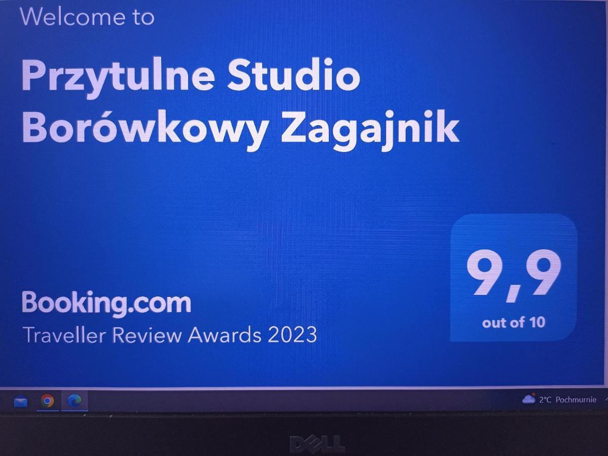 Apartment Przytulne Borowkowy Zagajnik Piechowice (Karkonosze)